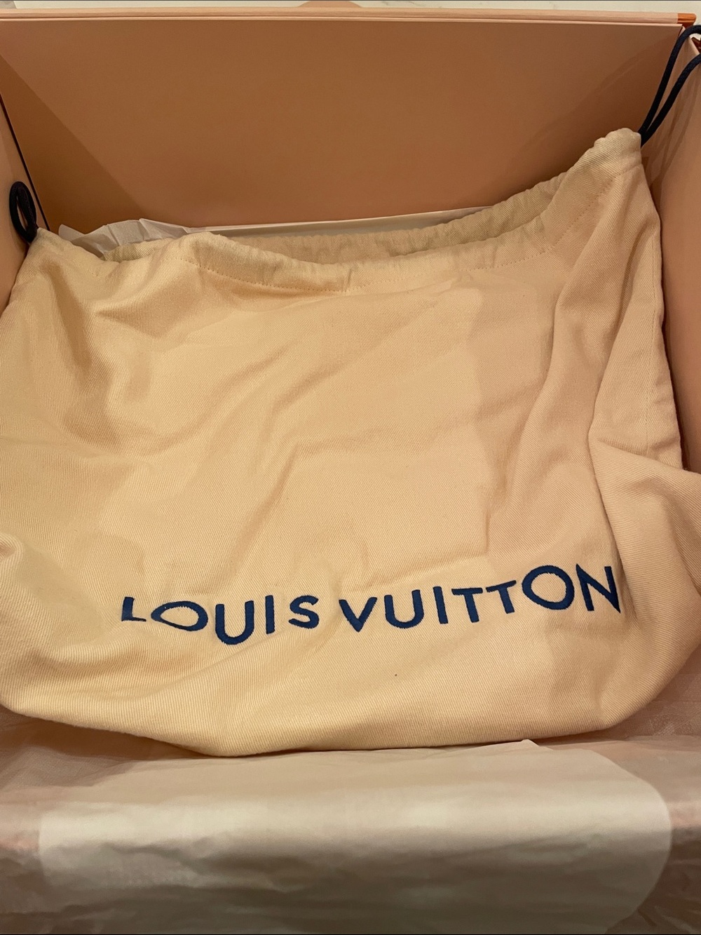 Louis Vuitton AUTHENTIC NEW IN BOX. Capucines BB Galet Taurillon bag - Picture 6 of 11
